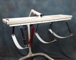 Picture of product Short Replacement Straps - 011-S