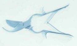 Picture of product Constable Shears - AF006