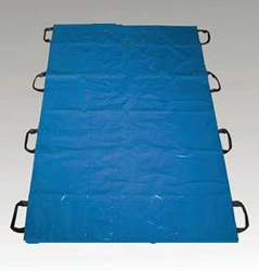 Picture of product BLM-2 Disaster/Transfer Sheet - BLM-2