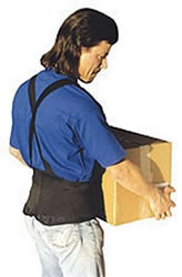 Picture of product Back Support - BS-1