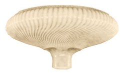 Picture of product Replacement Lamp Shade - CB-145